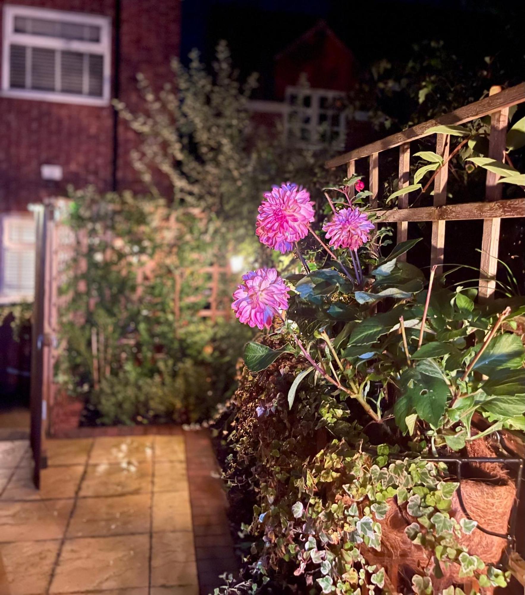 Cosy Cottage Central Bawtry - 2 Bedroom - High End Furnishings Eksteriør bilde